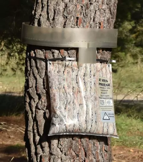 1016_ECOKIT Ecopiège contre chenille Processionnaire - Kit mètre linéaire (16,6m)