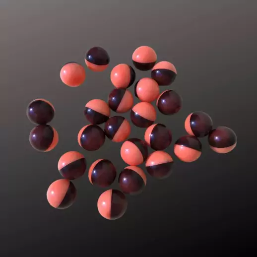 DIPTER Kit PILP Premium