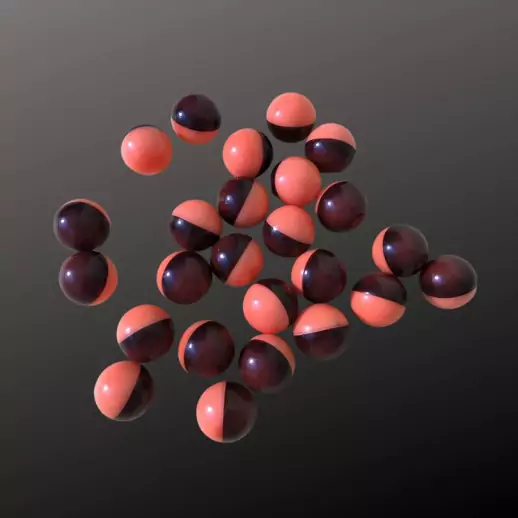 PILP Essentiel - Pistolet Insecticide Longue Portée (Pack Essentiel)