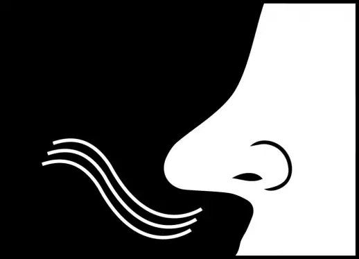 1452 Destructeur d’odeurs. Prêt à l’emploi.